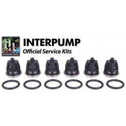 Interpump Комплект клапанов для Royal Press (17859) KIT 01