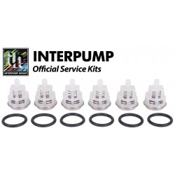 Interpump Комплект клапанов для Elite (28508) KIT 123