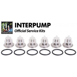 Interpump KIT 169 Рем. комплект