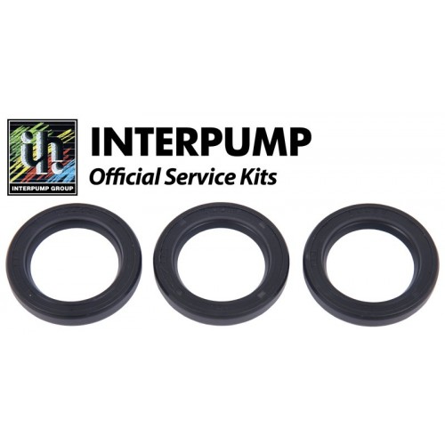 Interpump Комплект сальников 3шт. KIT 02 (GUGO 01000)