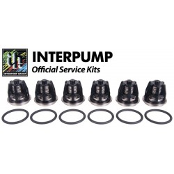 Interpump KIT 43 Рем. комплект