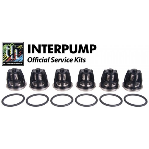 Interpump KIT 43 Рем. комплект